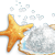 starfish and shell